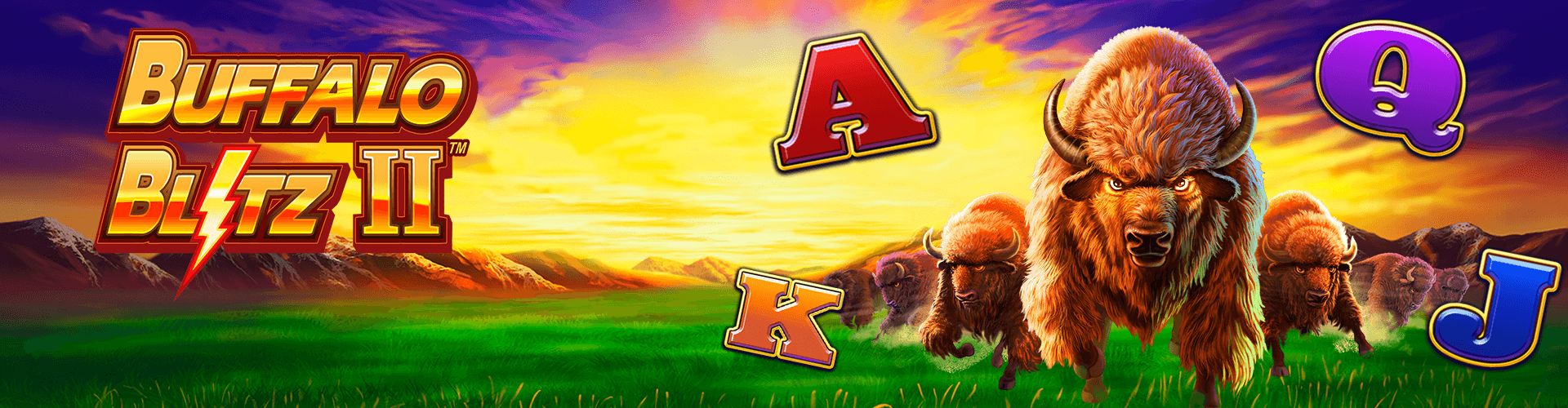 Buffalo Blitz