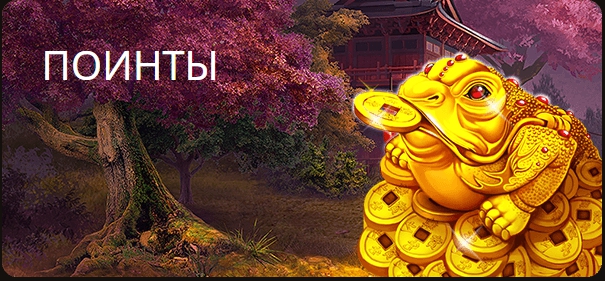 поинты поинты
